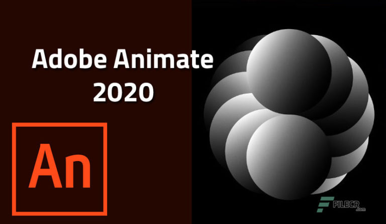 Adobe Animate 2021 v21.0.1.37179